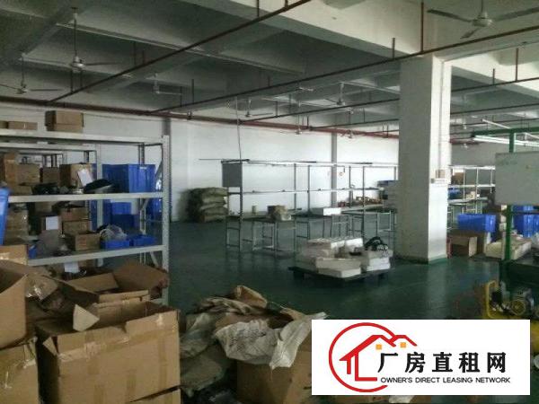 
跨境电商工业园原房东厂房6000平方（可分租）