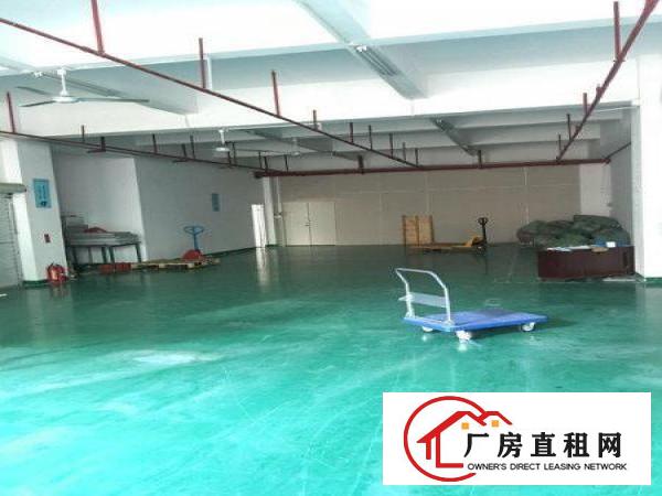 
龙华新区观澜库坑行政服务大厅旁边930平方出租