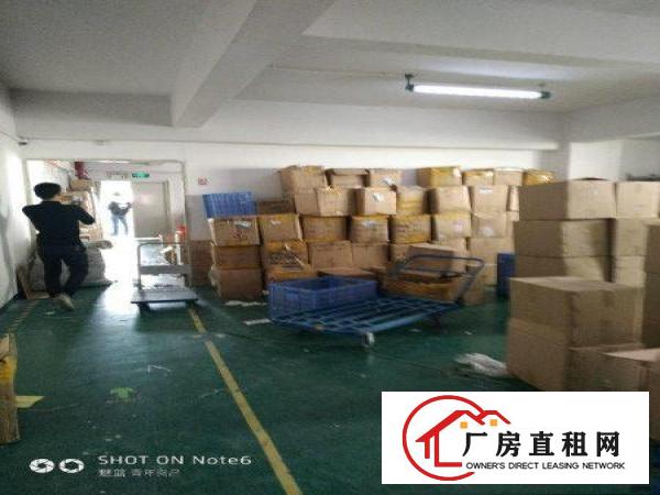 
龙华新区观澜章阁新出楼上400平方带装修只要13元