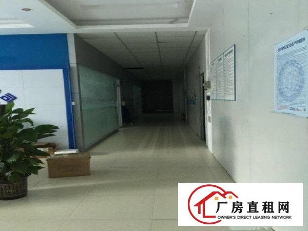 
观澜现成隔墙240平方带办公室装修出租