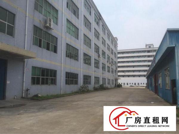 
观澜桂花工业区新出（一楼2000平方厂房出租