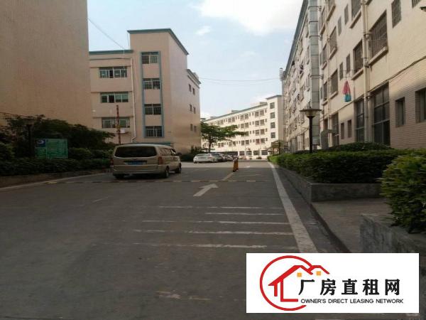 
观澜大和新出原房东1450平厂房出租