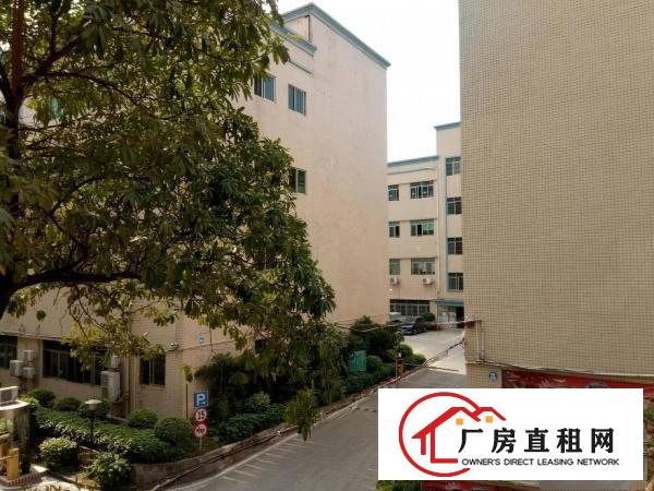 
观澜大和新出原房东1450平厂房出租