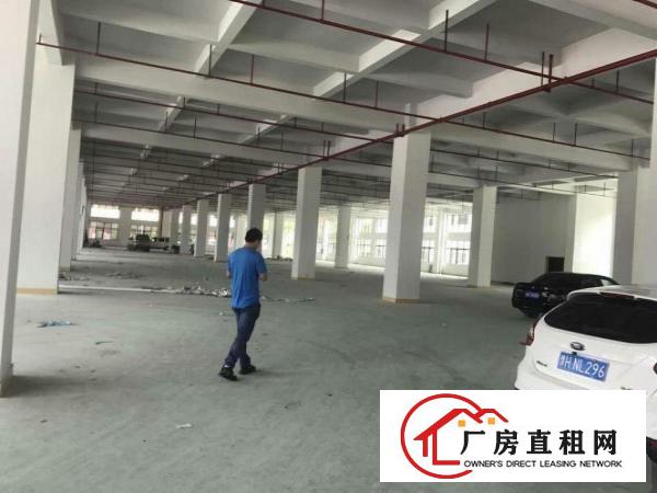 
观澜桂花工业区（新出）一楼1100平方出租