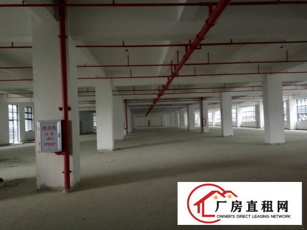 
龙华区有轨电车旁厂房大小分租4003000平方