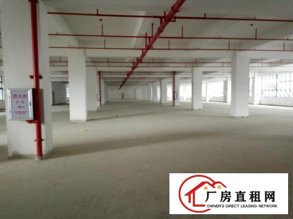 
龙华区有轨电车旁厂房大小分租4003000平方