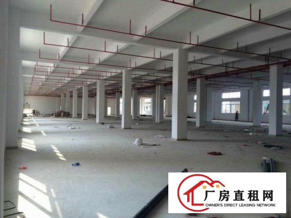 
大富工业区红本厂房8年合同单层面积3250