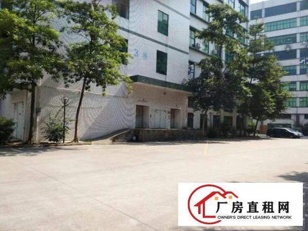 
观澜电商仓库园清平高速出口8001500平方厂房