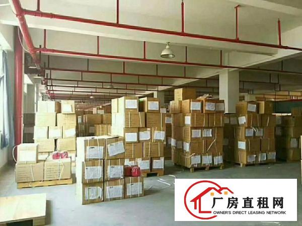 
观澜电商仓库园清平高速出口8001500平方厂房