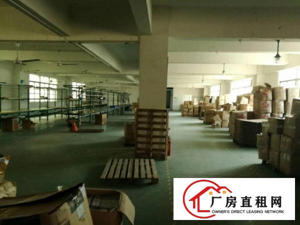 
环观南路樟坑径带前台办公室装修二楼1300平米出租