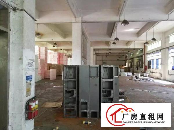 
福民福前路边大型工业区一楼500平出租
