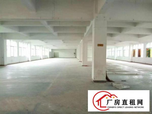 
观澜福民大型工业区五楼整层1250平米出租