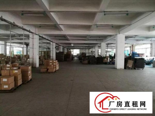 
观澜人民路有轨电车旁大型工业区四楼3680平出租