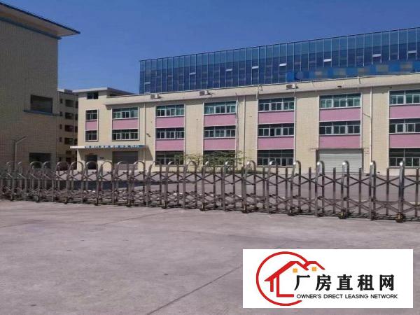 
观光路与福前路红绿灯附近独门独院三层7200平出租