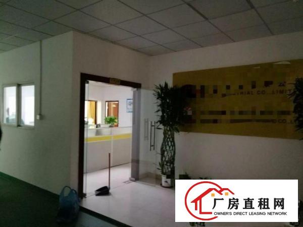 
观澜至龙华龙观快线路边二楼1000平米一手房东出租