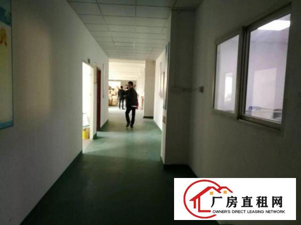 
观澜至龙华龙观快线路边二楼1000平米一手房东出租