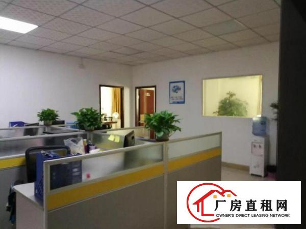 
观澜至龙华龙观快线路边二楼1000平米一手房东出租