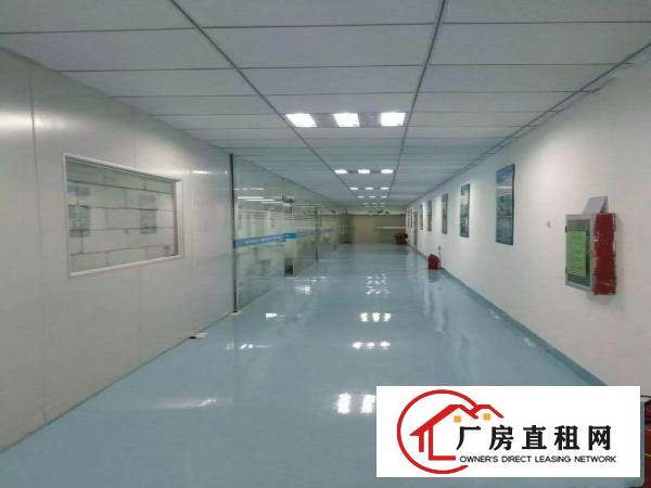 
观兰大型工业园3楼850平米精装修厂房出租