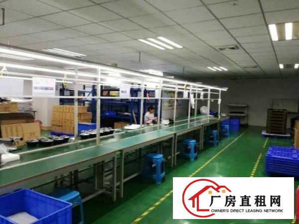 
龙华观澜樟坑径主干道新出700平带精装修厂房出租