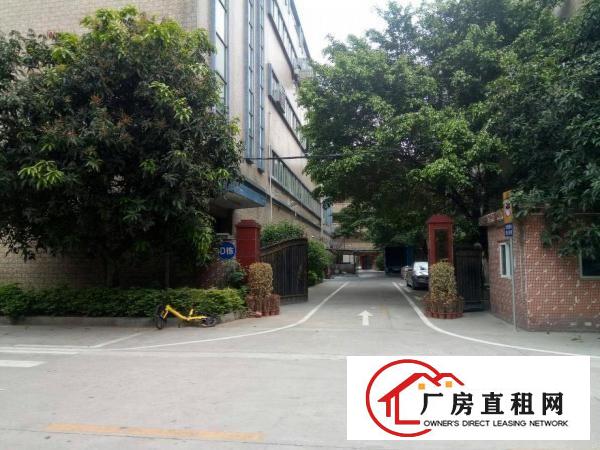
观澜樟坑径新原房东1500平精装厂房出租