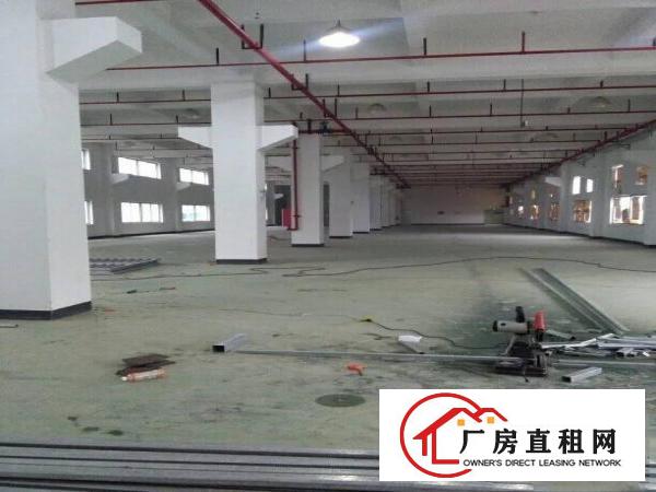 
观澜清平高速出口，全新厂房低价招租