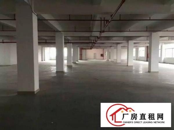 
观澜清平高速出口，全新厂房低价招租