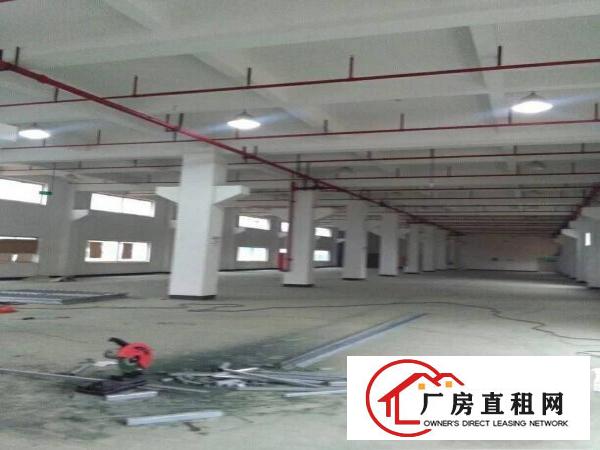 
观澜清平高速出口，全新厂房低价招租