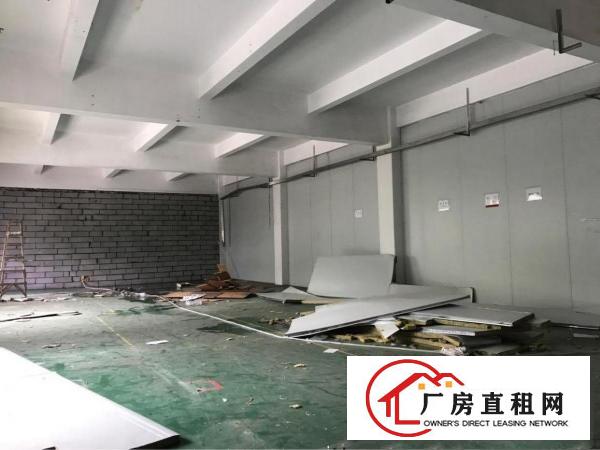 
龙华区，龙观快线1楼850平方厂房低价出租