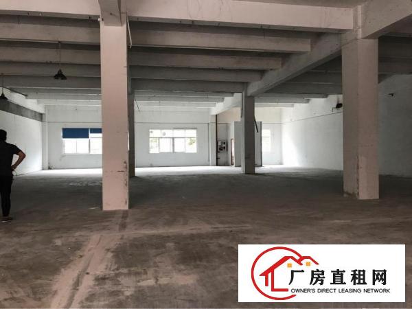 
龙华区，龙观快线1楼850平方厂房低价出租