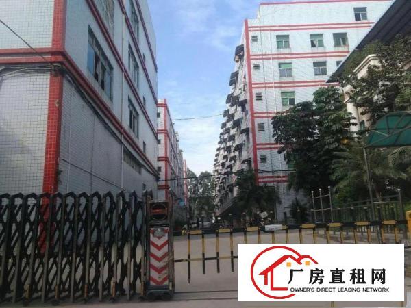 
观澜新田环观南路一手房东厂房三楼750平米出租