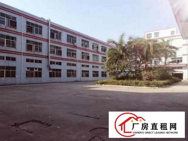 
观澜新田环观南路一手房东厂房三楼750平米出租