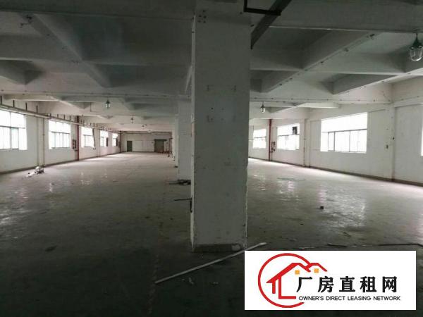 
观澜新田环观南路一手房东厂房三楼750平米出租