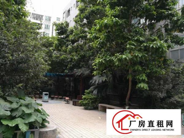 
观光路边梅观高速出口花园式工业区1180平米出租