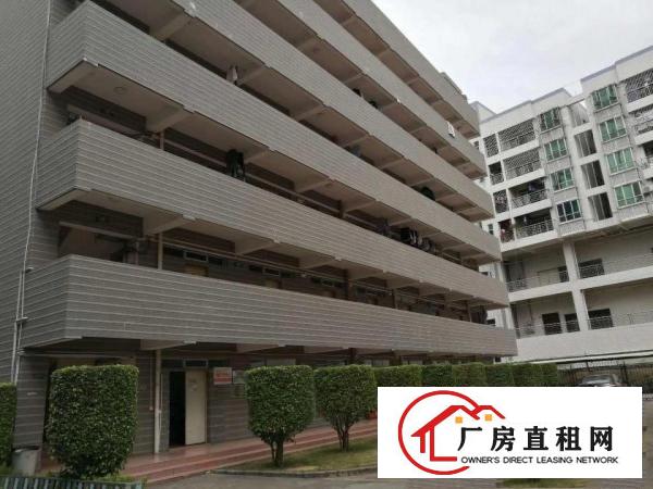 
观光路边梅观高速出口花园式工业区1180平米出租