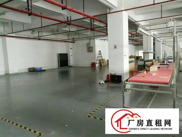 
樟坑径新出原房东二楼1580平方带装修