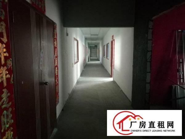 
观澜大道福民派出所花园式厂房出租