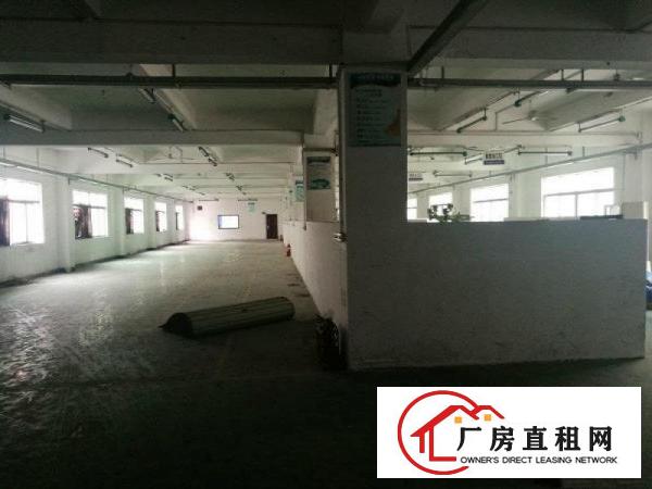 
观澜大道福民派出所花园式厂房出租