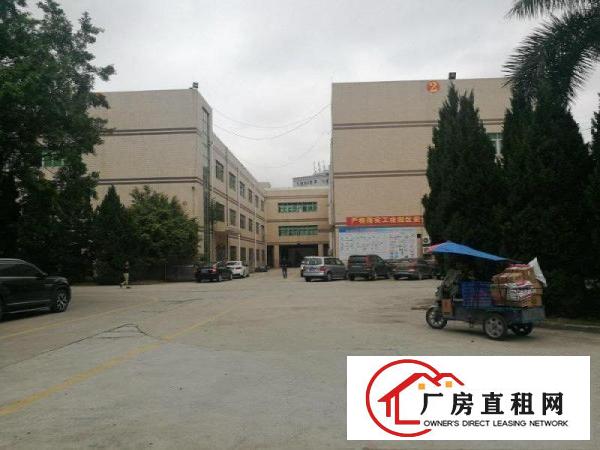 
观澜大道福民派出所花园式厂房出租