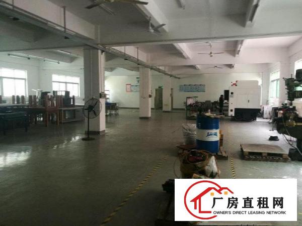 
观澜大道福民派出所花园式厂房出租