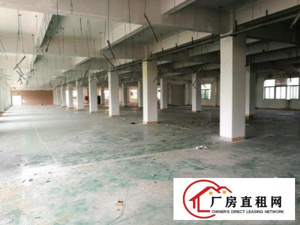 
观澜大富工业区硅谷3层独院厂房出租