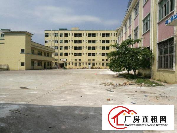 
观澜大富工业区硅谷3层独院厂房出租