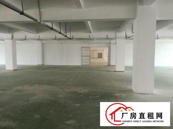 
观澜环观南路牛湖收费站红本厂房出租