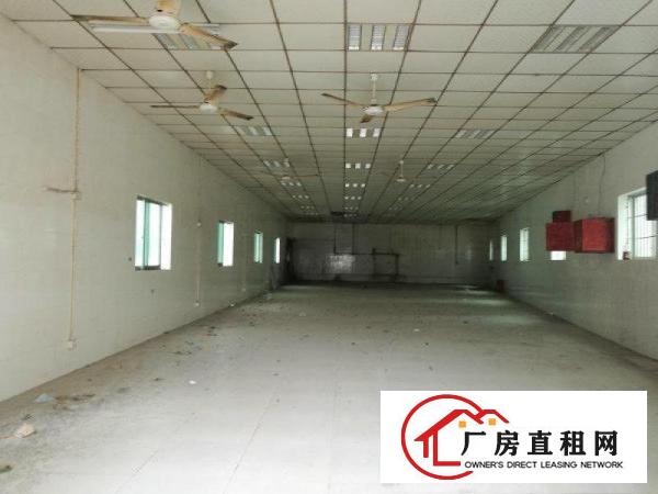 
观澜大富工业区硅谷动力附近独院厂房可改商业盘出租