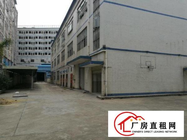 
观澜大富工业区硅谷动力附近独院厂房可改商业盘出租