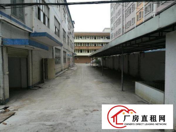 
观澜大富工业区硅谷动力附近独院厂房可改商业盘出租