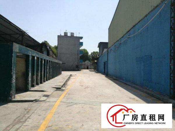 
观澜环观南路高新技术产业园大型独院厂房出租