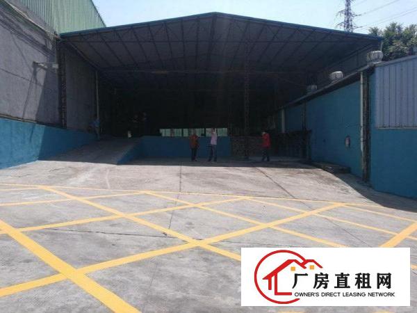
观澜环观南路高新技术产业园大型独院厂房出租