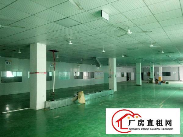 
清平高速出口3楼1500平米豪华装修厂房出租