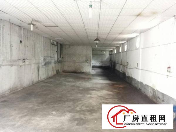 
牛湖500、800、1000铁皮厂房出租