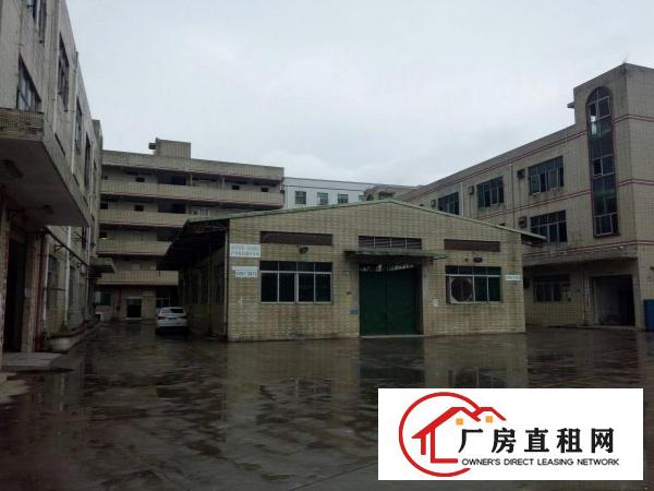 
牛湖500、800、1000铁皮厂房出租